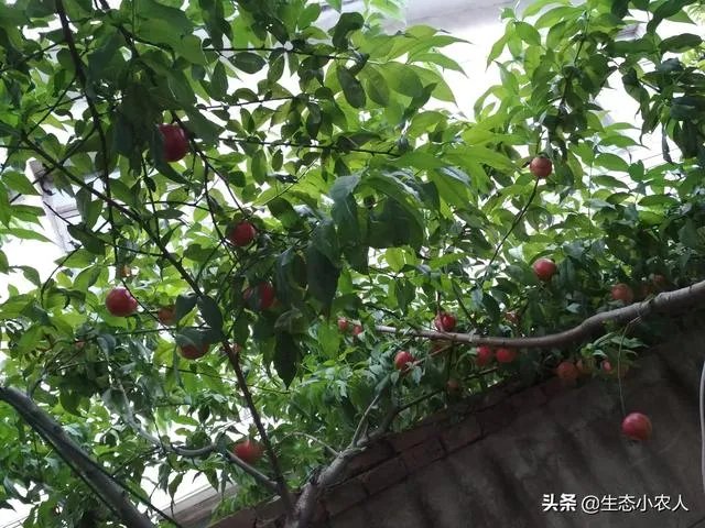 农产品批发市场对管理人员应该怎样？