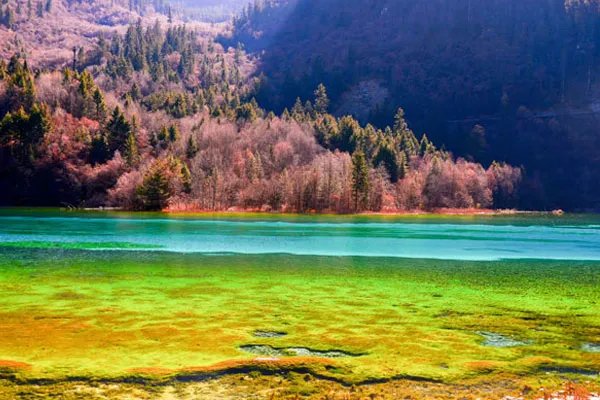 成都九寨沟旅游攻略 九寨沟旅游攻略