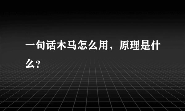 一句话木马怎么用，原理是什么？