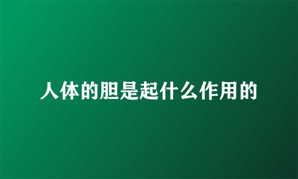 人体的胆是起什么作用的