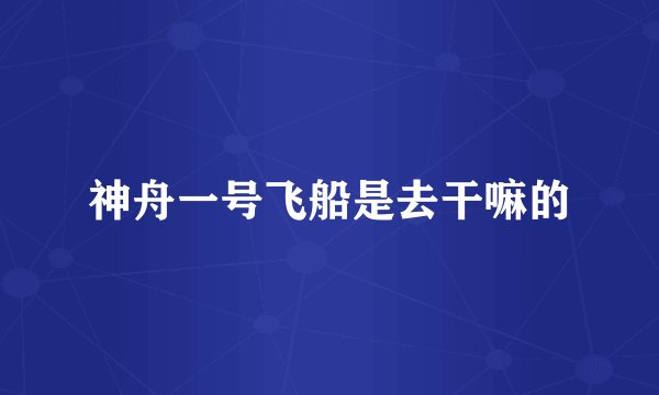 神舟一号飞船是去干嘛的