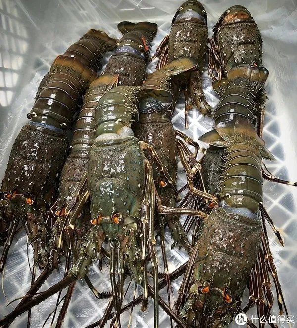 龙虾怎么做好吃