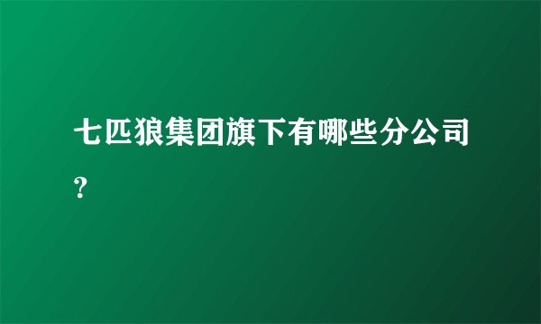 七匹狼集团旗下有哪些分公司？