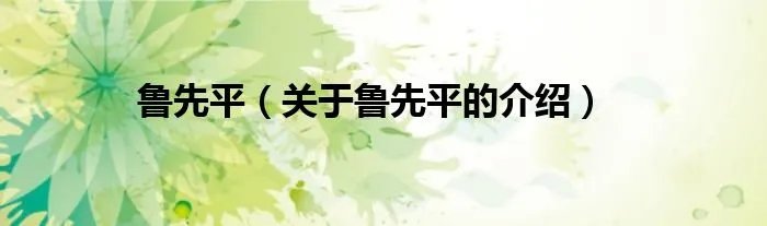 鲁先平（关于鲁先平的介绍）