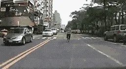 碰瓷失败被压死