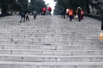 暴走漫画公开道歉，道歉有哪些方式？