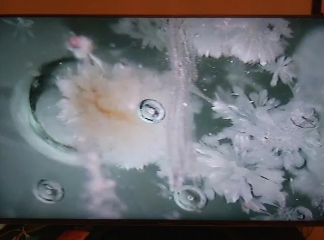 恒星的一生是怎样的？