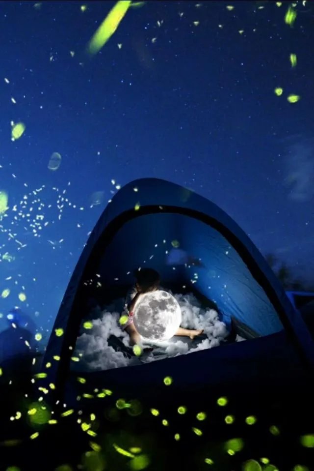 你曾拍过或者见过的最美的月亮是什么样的？