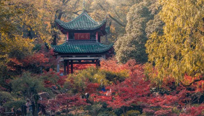 远上寒山石径斜xie还是xia 远上寒山石径斜怎么读