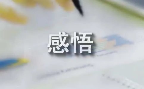 大学心得感悟