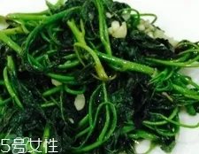 长寿菜是什么菜?长寿菜长什么样子?