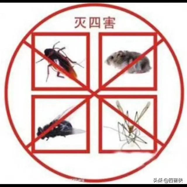 四害是什么？