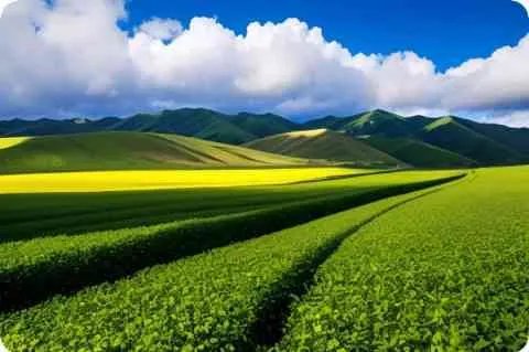 钋210详细资料大全