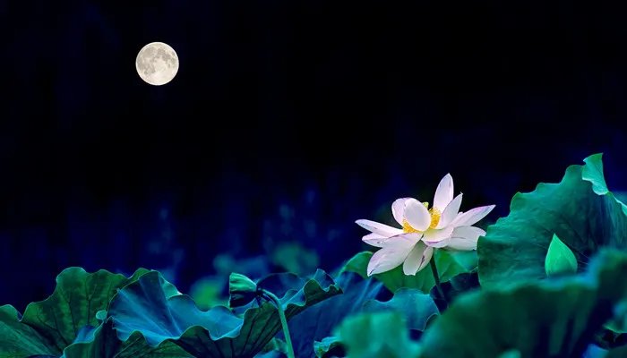 北极星在哪个星座 北极星属于哪个星座