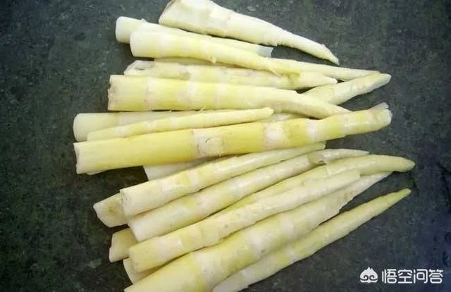 苦竹笋有什么功效？