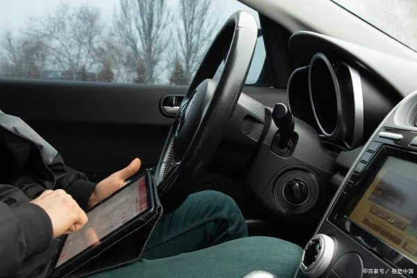 开车前为什么要拍拍车盖？如何避免开车撞上小动物呢？