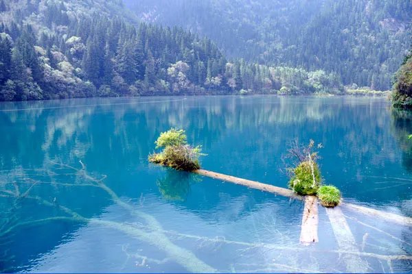 四川九寨沟旅游攻略 九寨沟旅游攻略