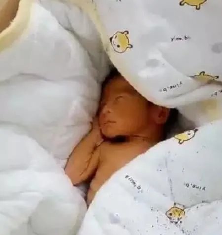 埋婴案爷爷被刑拘怎么回事 事件始末详情及真相曝光