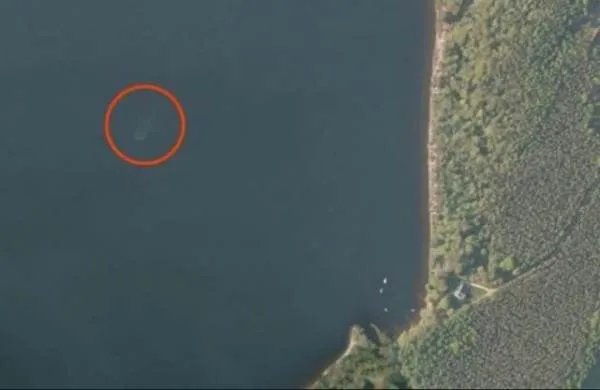 尼斯湖水怪的真相到底是什么?