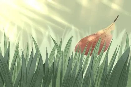 处暑节气的含义是什么意思