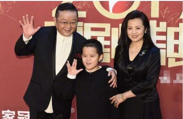 王刚的儿子怎么了？