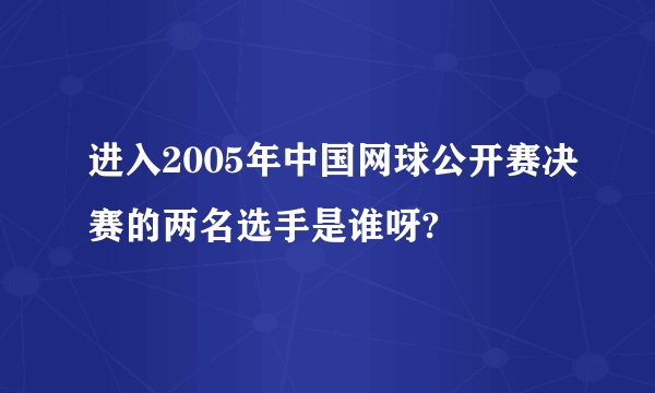 进入2005年中国网球公开赛决赛的两名选手是谁呀?