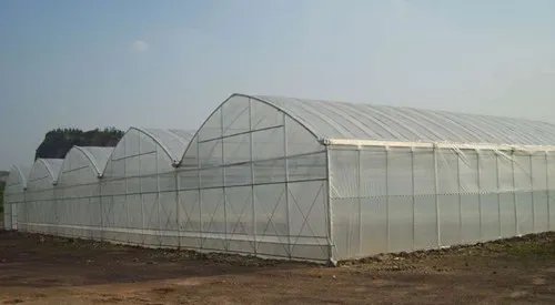 大棚房的定义是什么