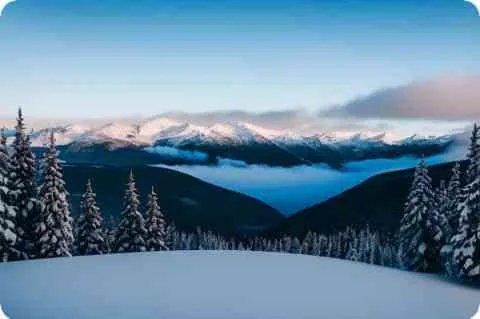 【管华】的意思是什么？【管华】是什么意思？