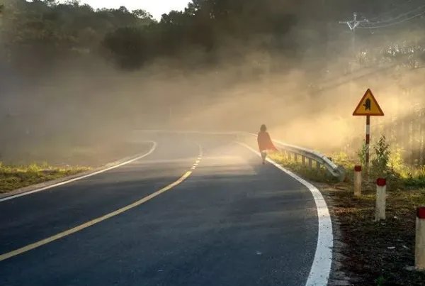 曾经迷茫过也曾彷徨过是什么歌