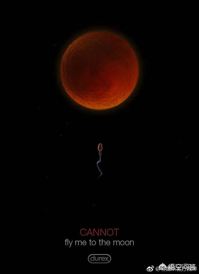 你曾拍过或者见过的最美的月亮是什么样的？