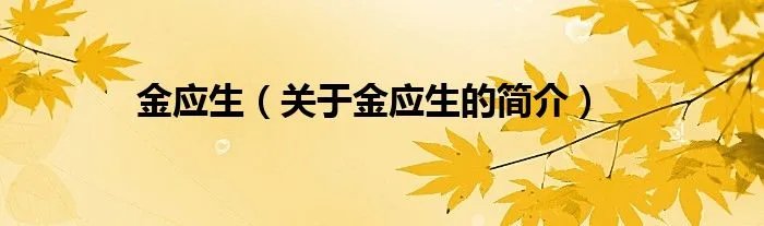 金应生（关于金应生的简介）