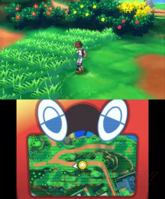 《口袋妖怪究极日月》全精灵分布及出现概率一览