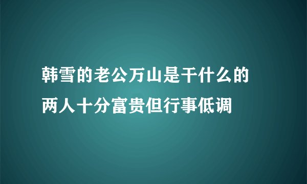 韩雪的老公万山是干什么的 两人十分富贵但行事低调