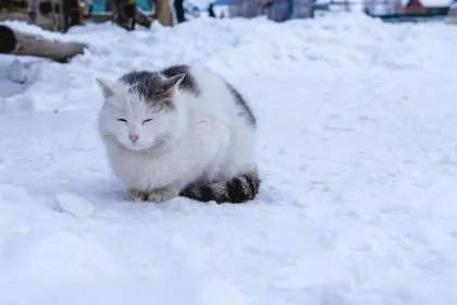 2020年冬至是哪一天几点几分？2020年冬至具体时间