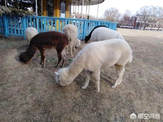 北京哪家温泉比较好？