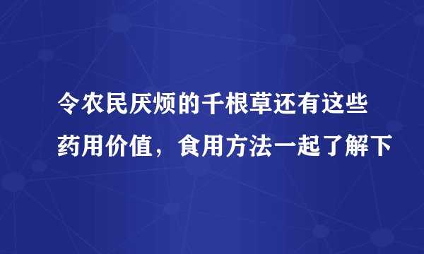 令农民厌烦的千根草还有这些药用价值，食用方法一起了解下