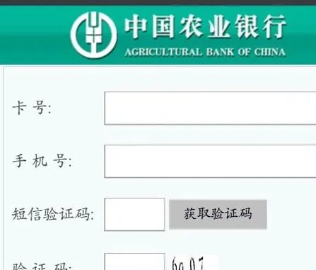 中国农业银行余额查询怎么查?