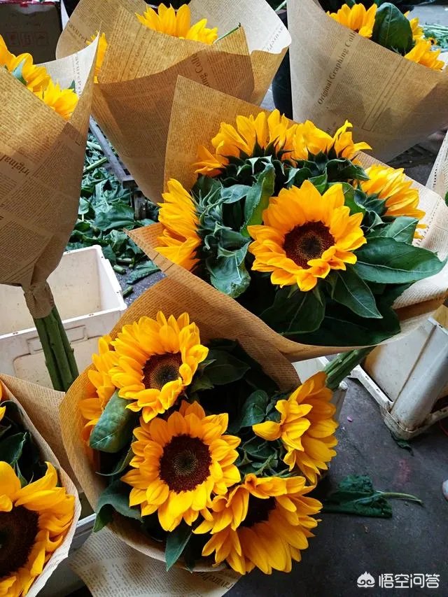 云南有哪些大的鲜花市场?