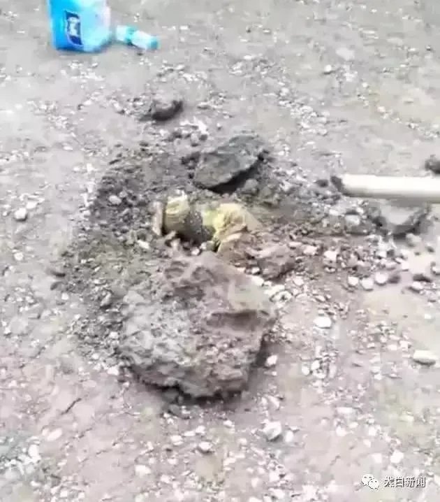 安徽蚌埠4岁女童失踪后被埋入路面，这是怎么一回事？