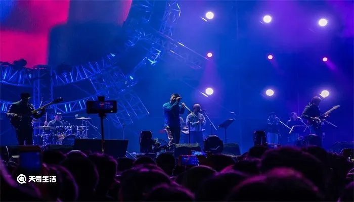 c位出道是什么意思