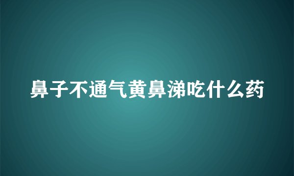 鼻子不通气黄鼻涕吃什么药