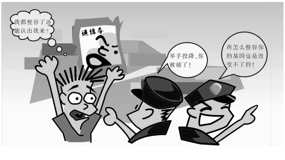 基因身份证的介绍