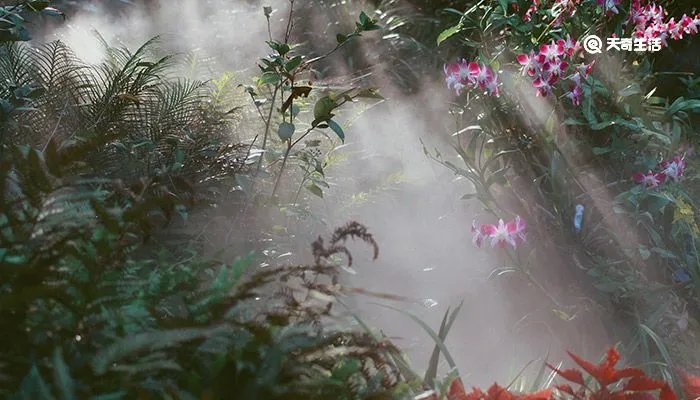 种子传播的方法