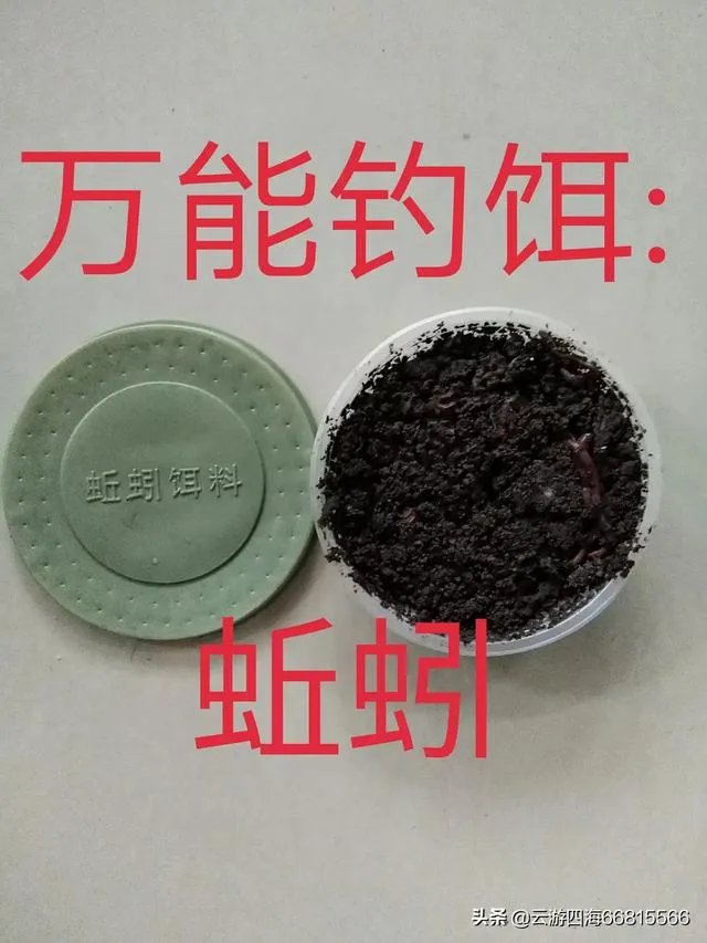 船钓用什么钓具