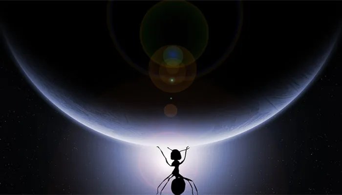 举重世界纪录 举重世界纪录是多少