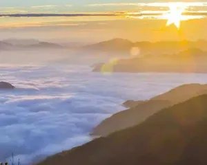 九龙山在哪里？