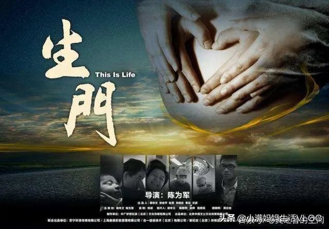 有哪些比较好看的纪录片?