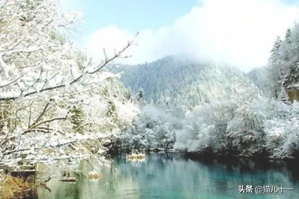 成都到九寨沟乘车方案—从成都到九寨沟怎么走？