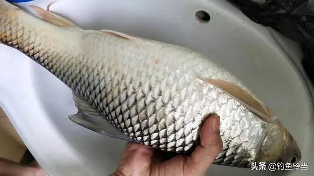 船钓用什么钓具