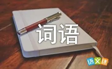 表示看的词语有哪些？